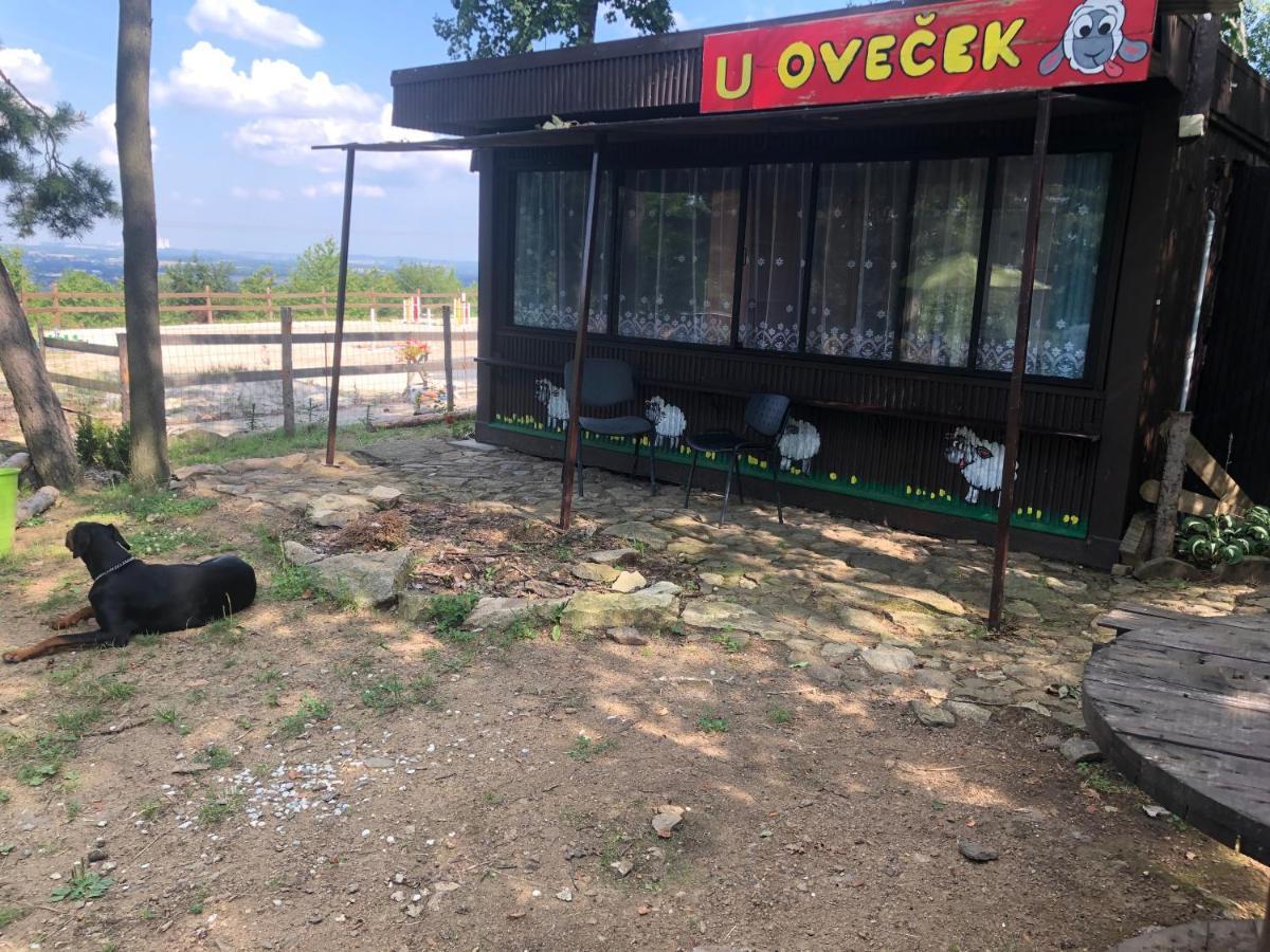 Ubytovani Pod Haniperkem Ξενοδοχείο Vodňany Εξωτερικό φωτογραφία